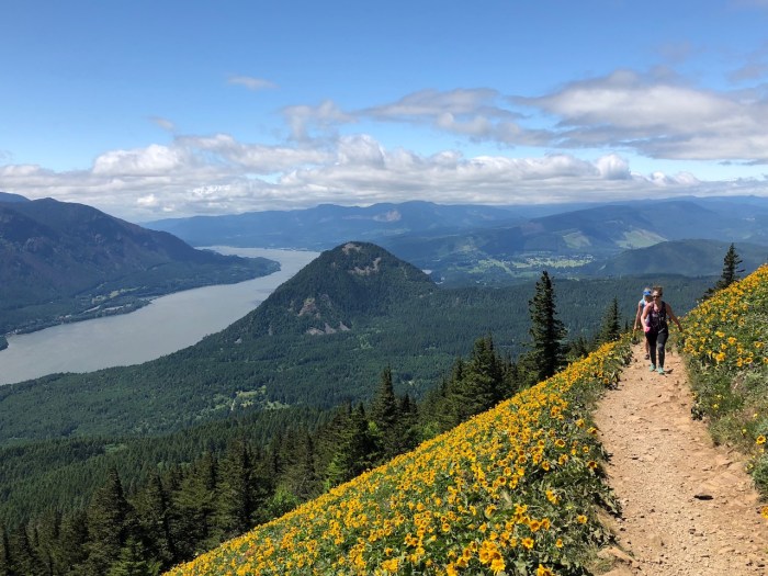 Columbia River May2018 - 116 (1)