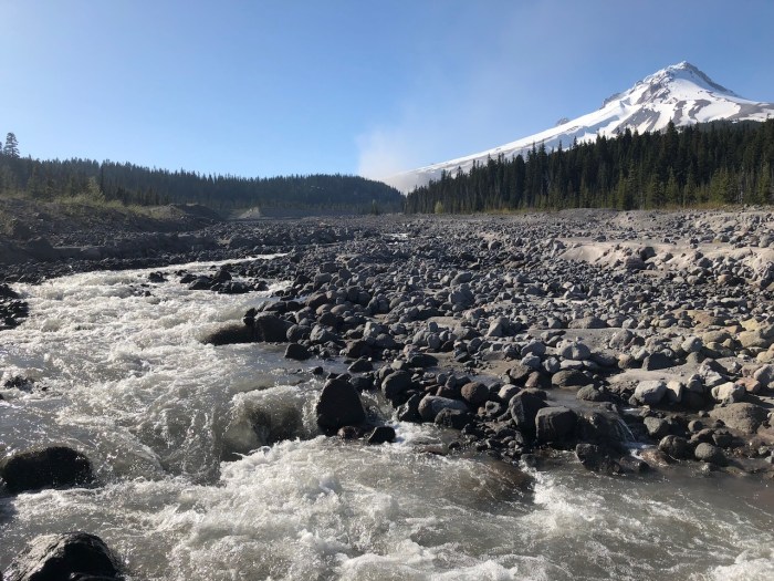 Columbia River May2018 - 117