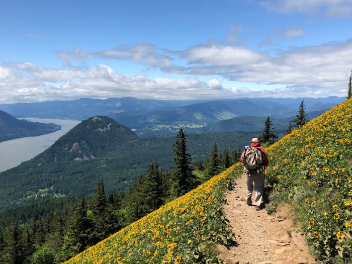 Columbia River May2018 - 118 (1)