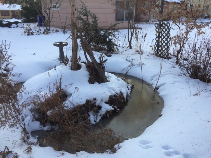 KOR@LuminaryLoppet2018- - 1