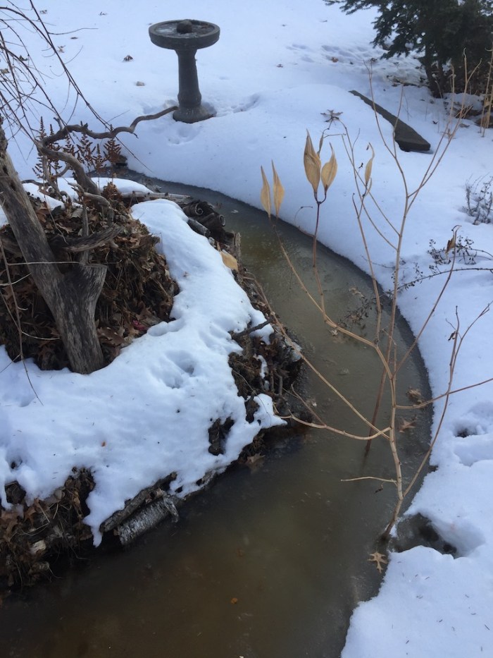 KOR@LuminaryLoppet2018- - 2