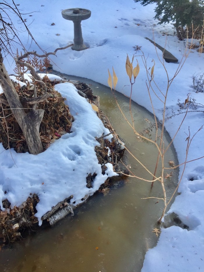 KOR@LuminaryLoppet2018- - 3