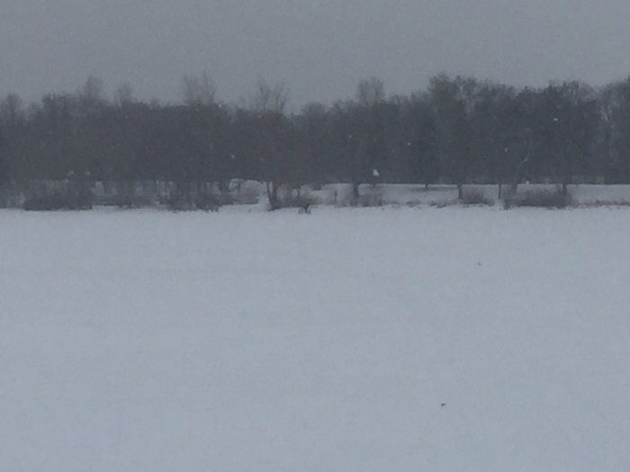 KOR@LuminaryLoppet2018- - 33